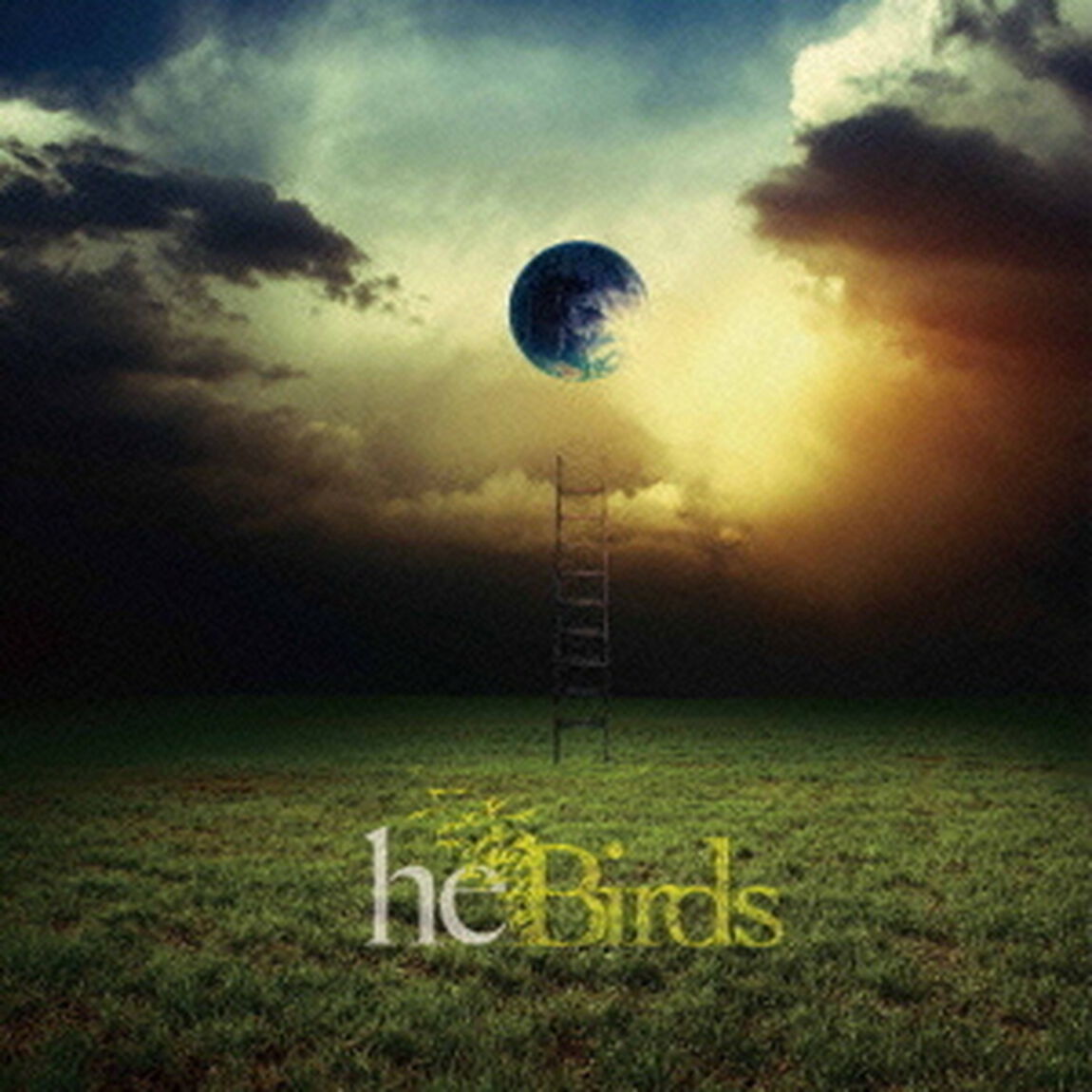 Birds（ＣＤ）