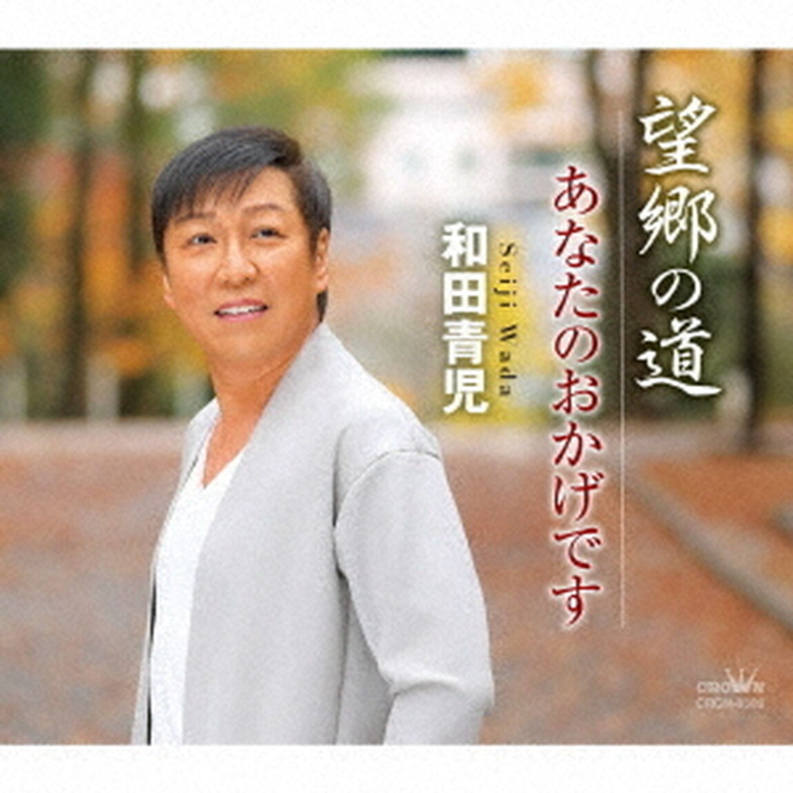 望郷の道／あなたのおかげです（ＣＤ）