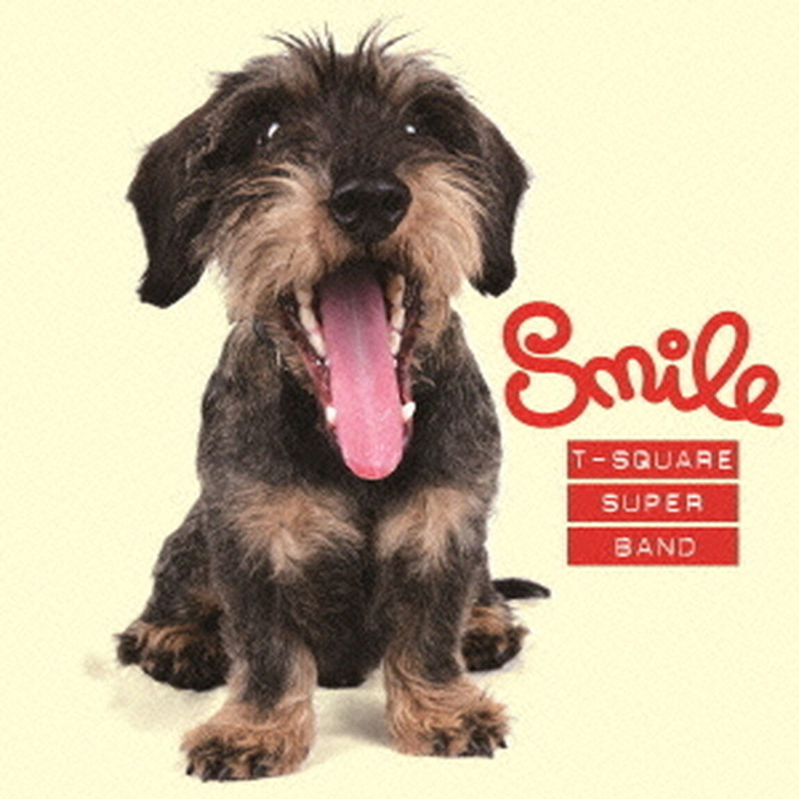 Smile（DVD付）（ハイブリッドCD）（ＣＤ）