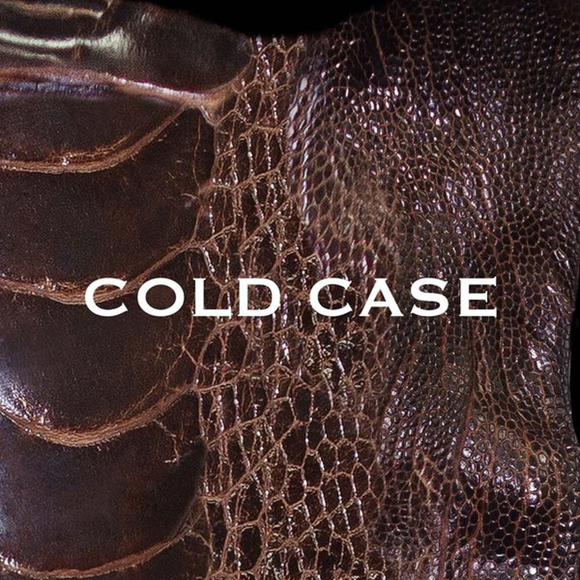 COLD　CASE（ＣＤ）