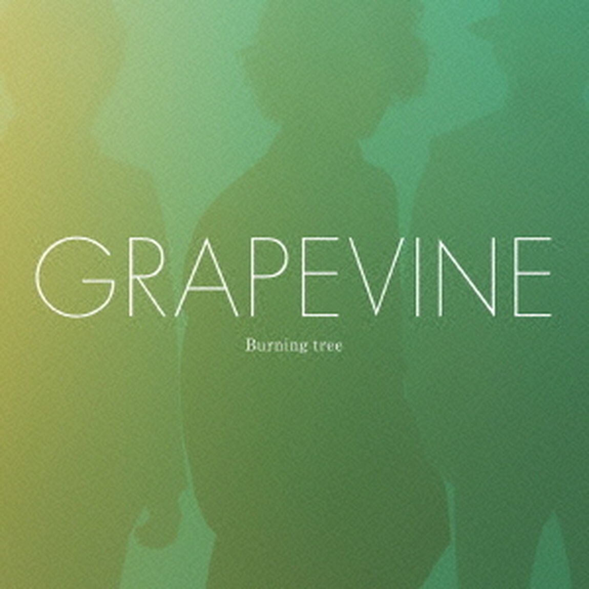Burning　tree（ＣＤ）