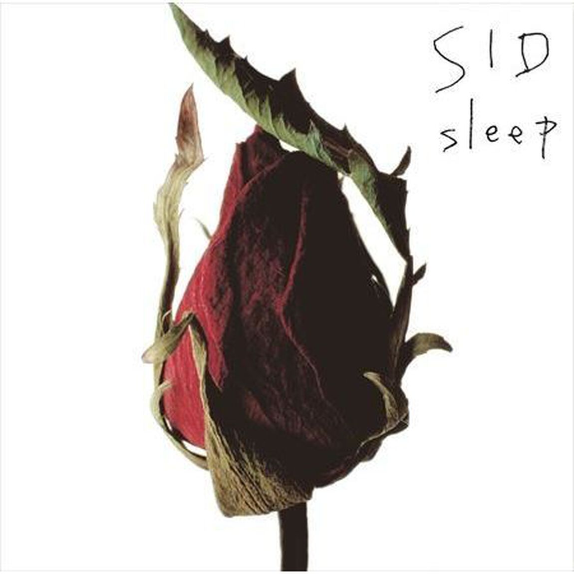 sleep（ＣＤ）