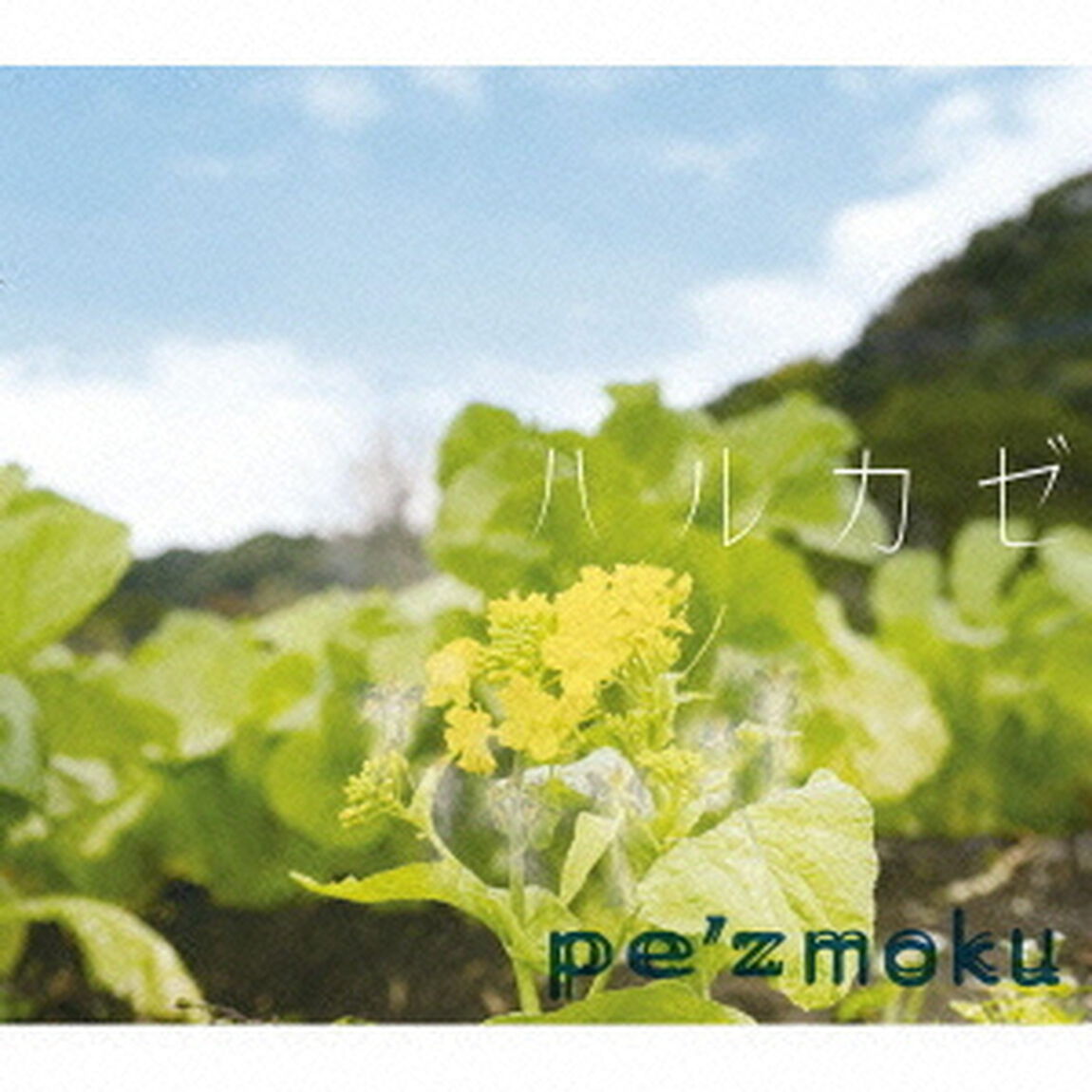 ハルカゼ（ＣＤ）