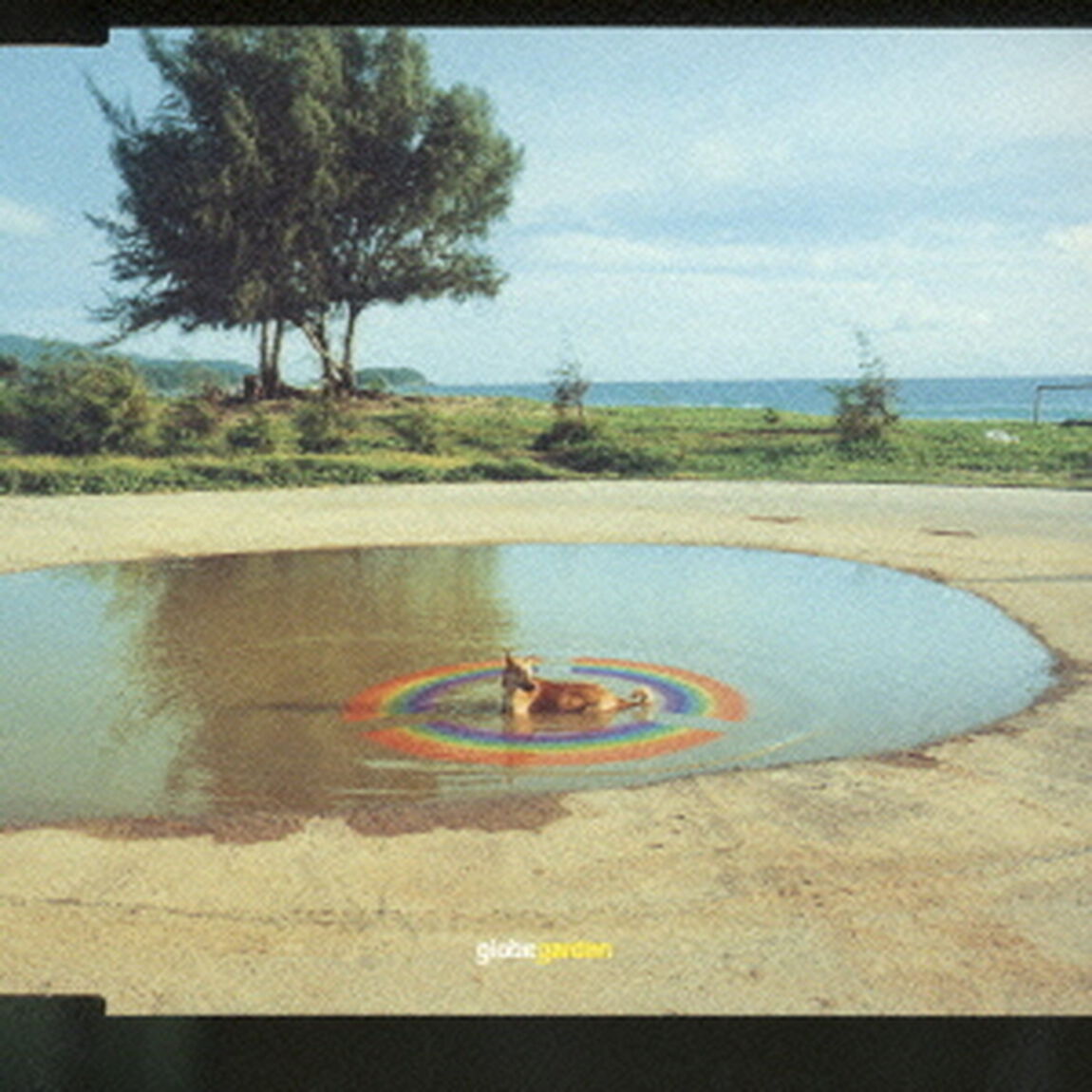 garden（ＣＤ）