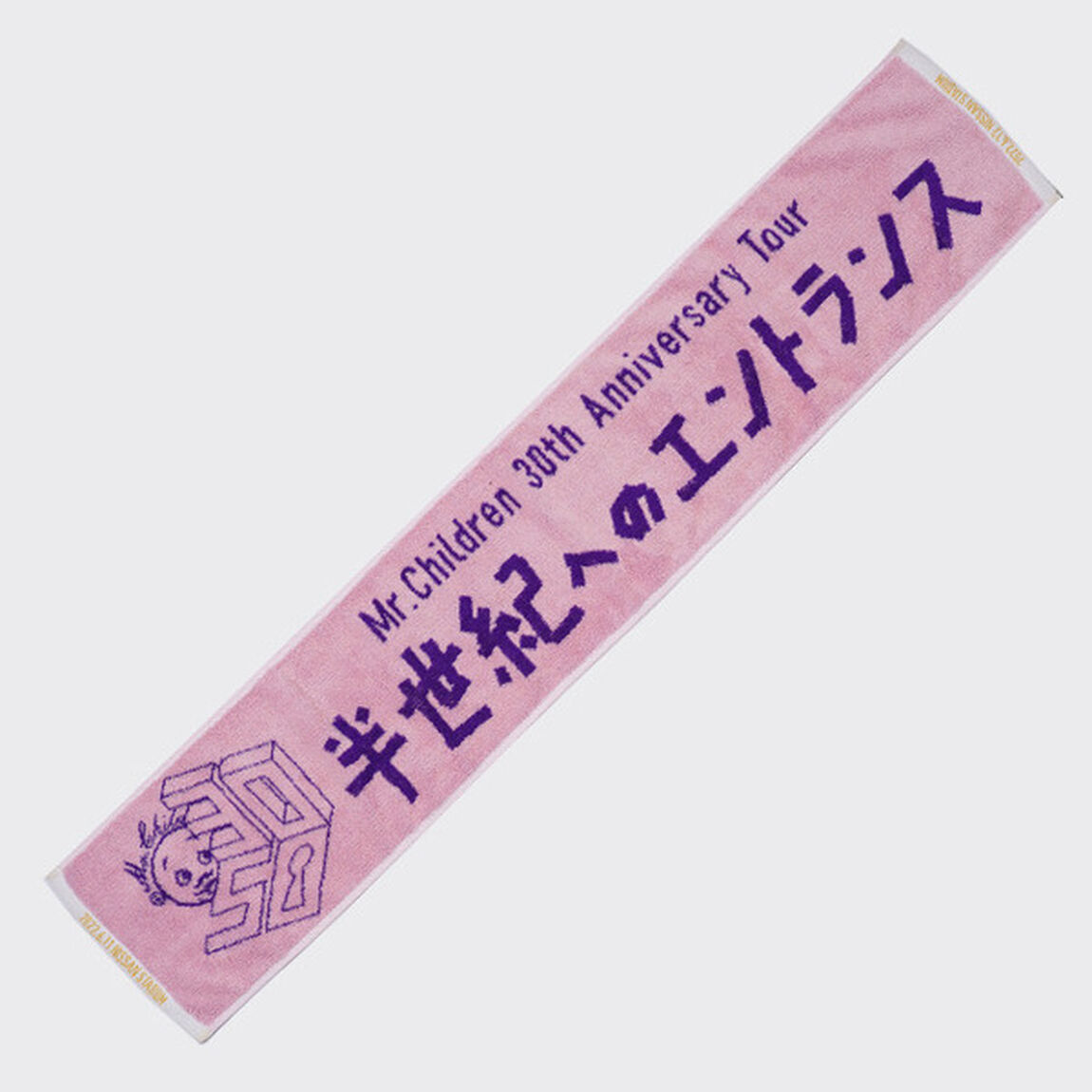 Mr.Children 30th Anniversary Tour／メモリアルマフラータオル 神奈川 日産（その他）