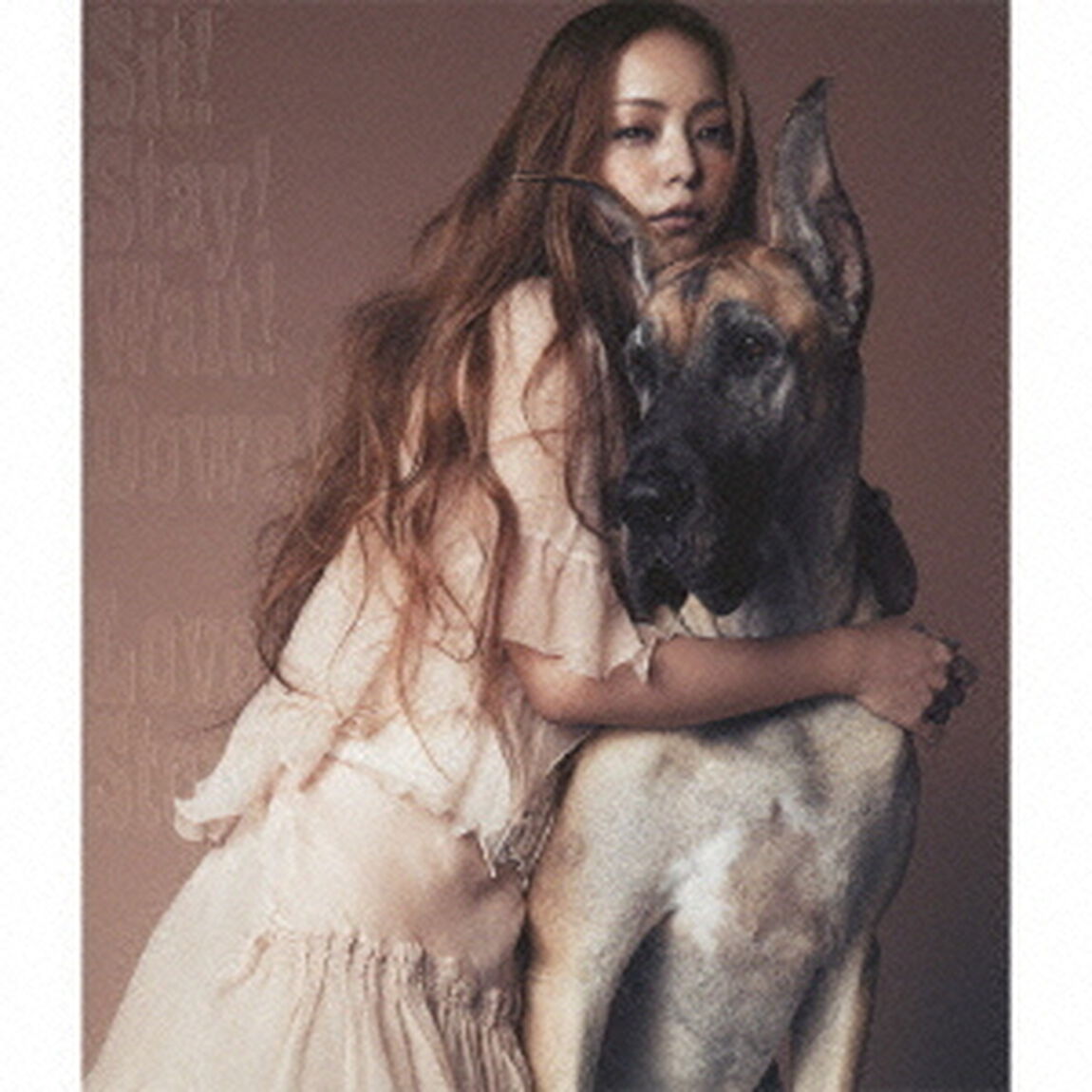 Sit！　Stay！　Wait！　Down！／Love　Story（ＣＤ）