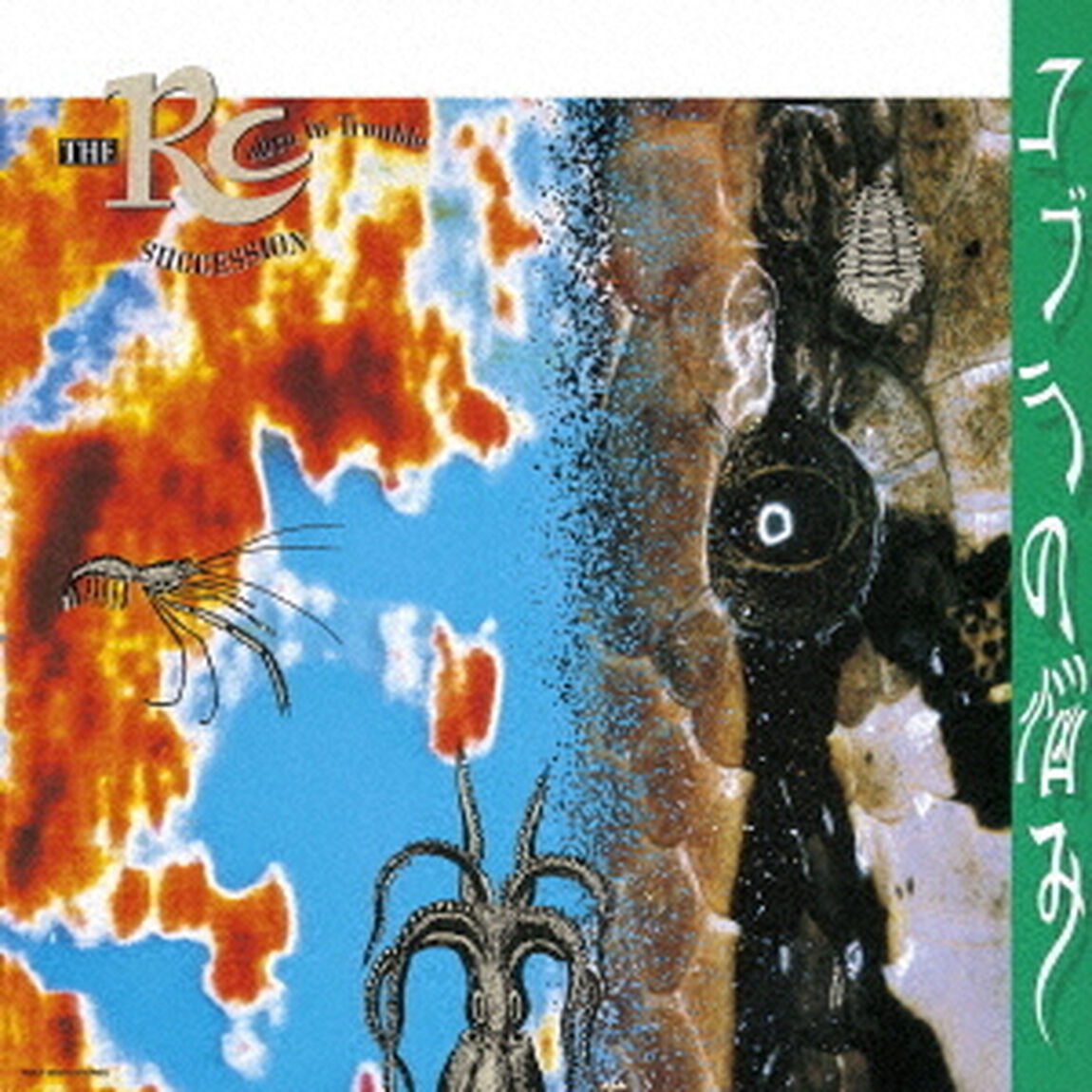コブラの悩み（ＣＤ）
