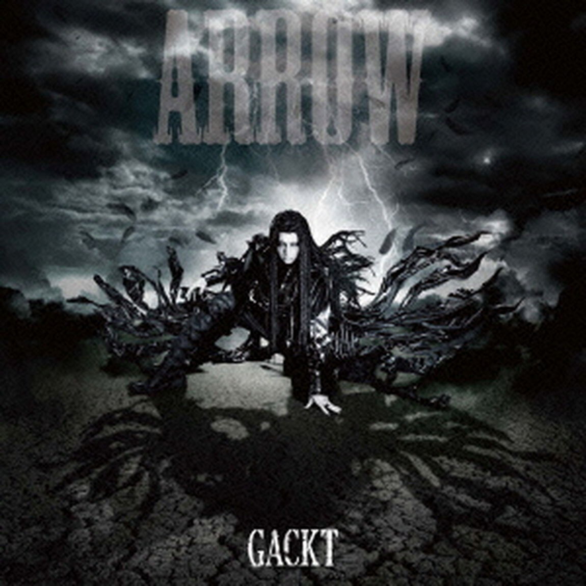 ARROW（ＣＤ）