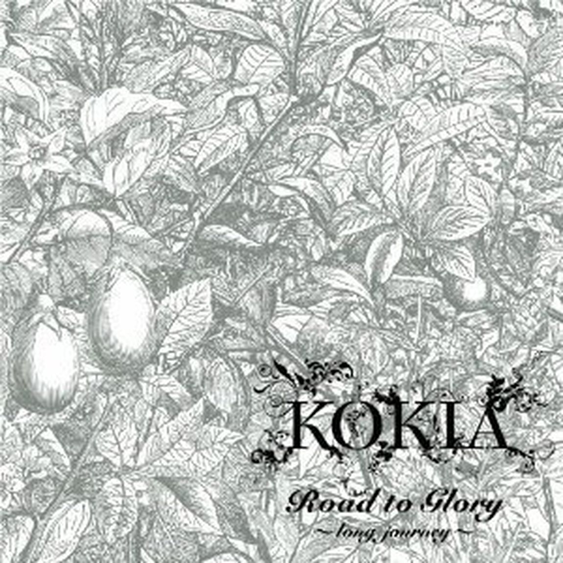 Road　to　Glory〜long　journey〜（ＣＤ）