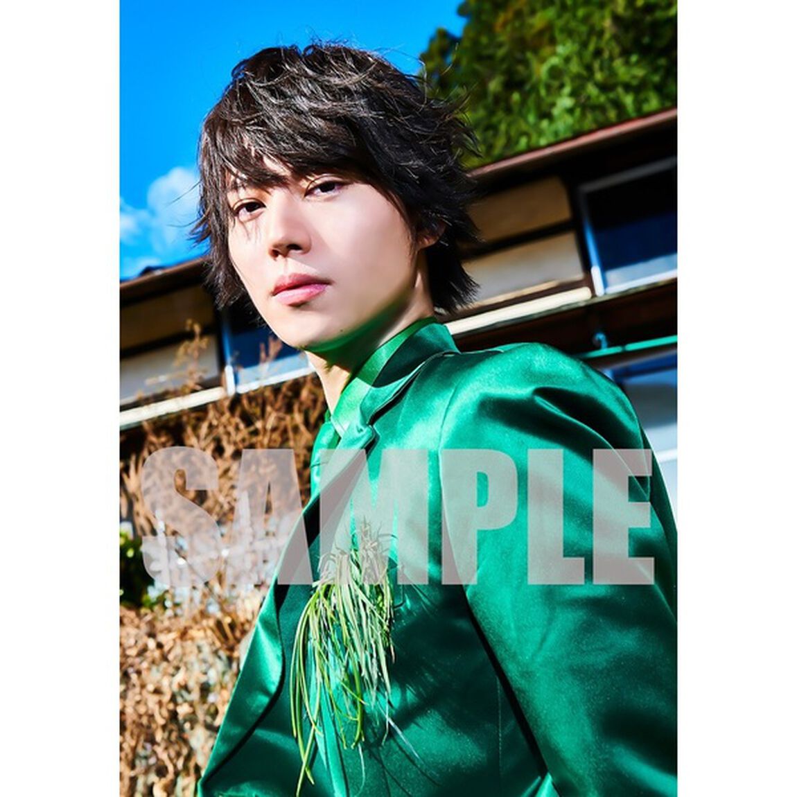 Taiki／雑草魂なめんなよ！（通常盤）（セブンネット限定特典：複製サイン入りL判ブロマイド付き）（CDシングル）