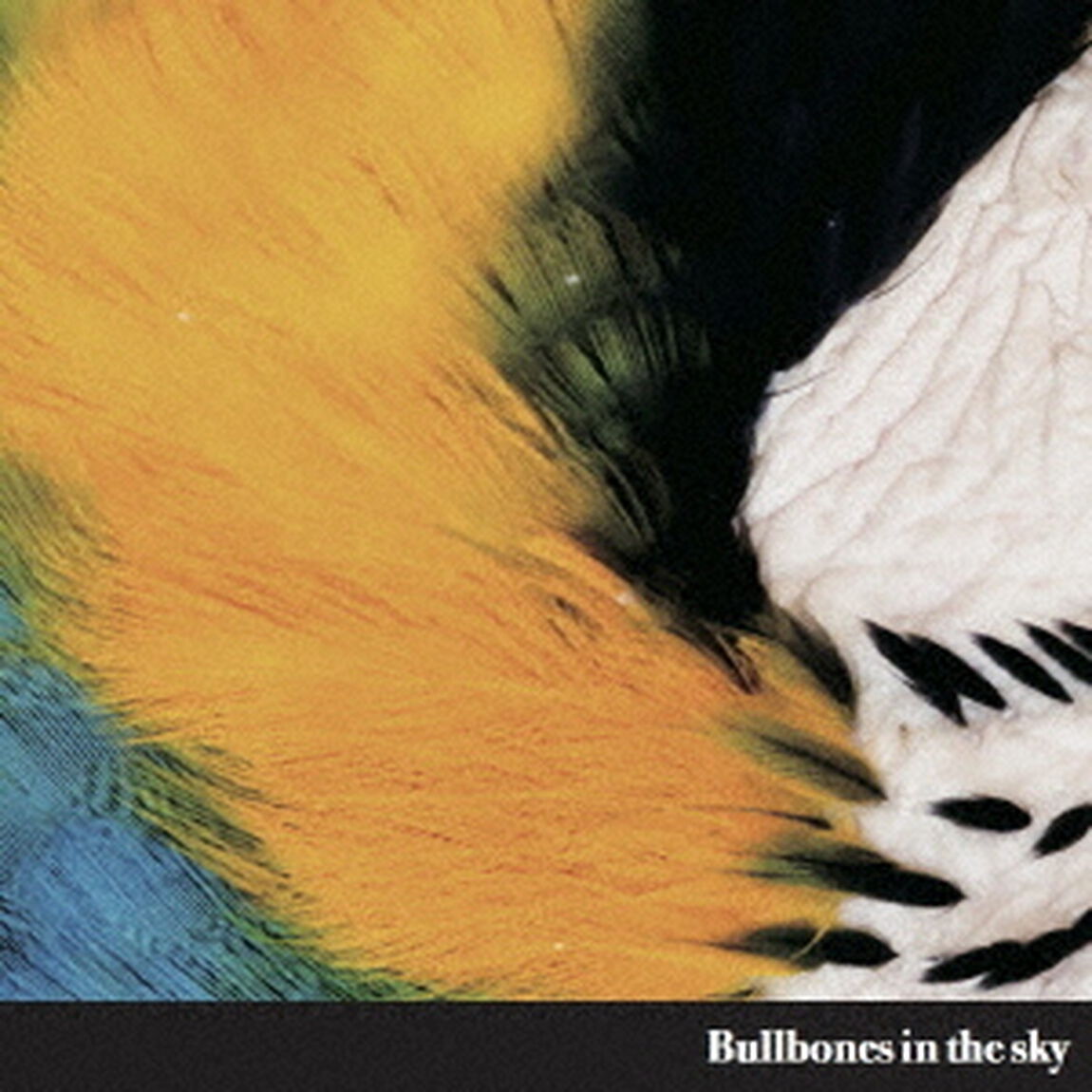 Bullbones　in　the　sky（ＣＤ）