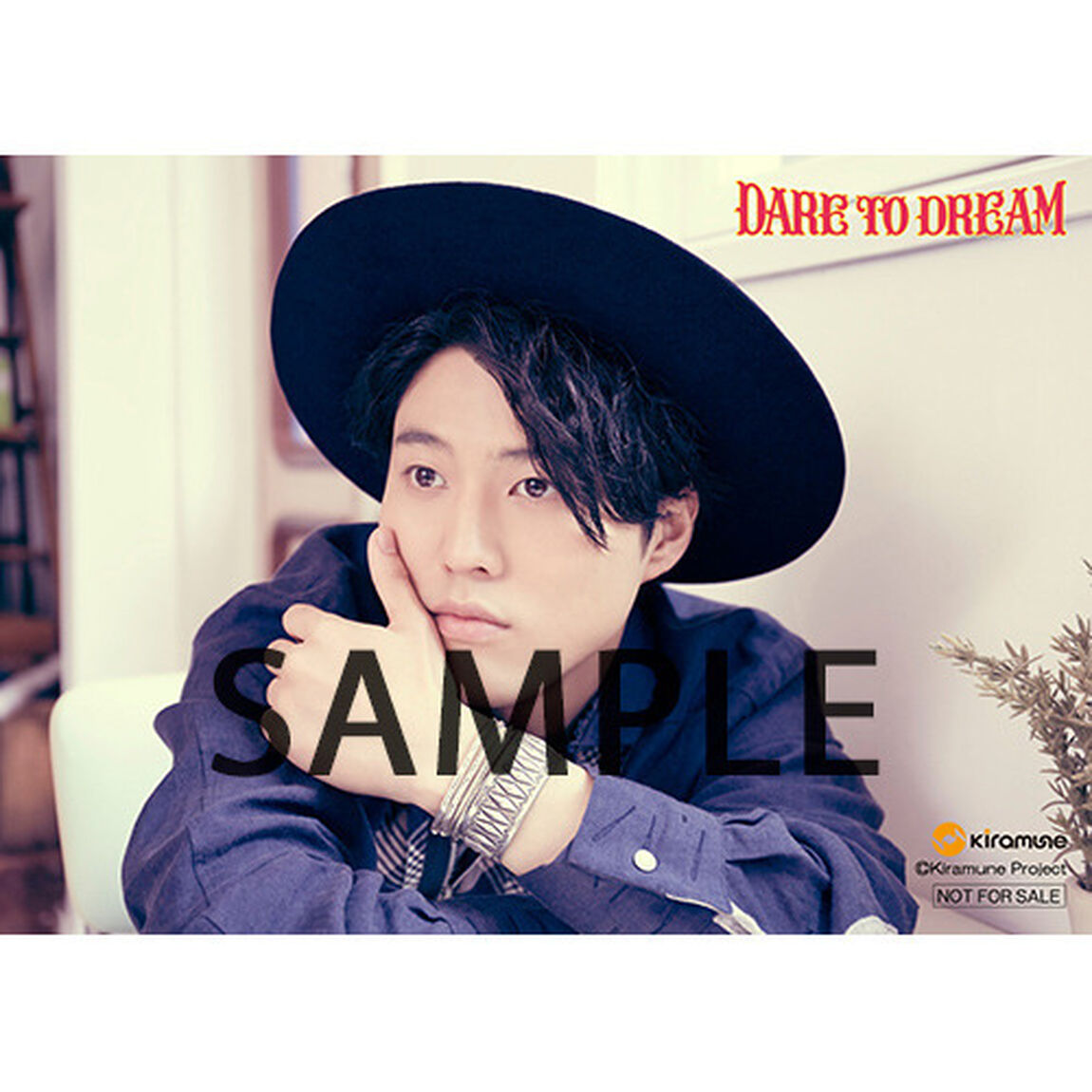 入野自由／DARE TO DREAM（豪華盤／CD+DVD）＜セブンネット限定特典：ブロマイド＞（ＣＤ）