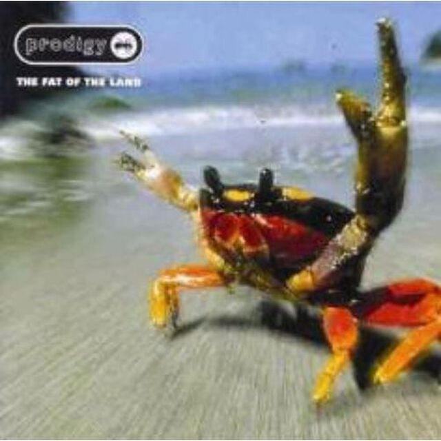 ザ・ファット・オブ・ザ・ランド（ＣＤ）