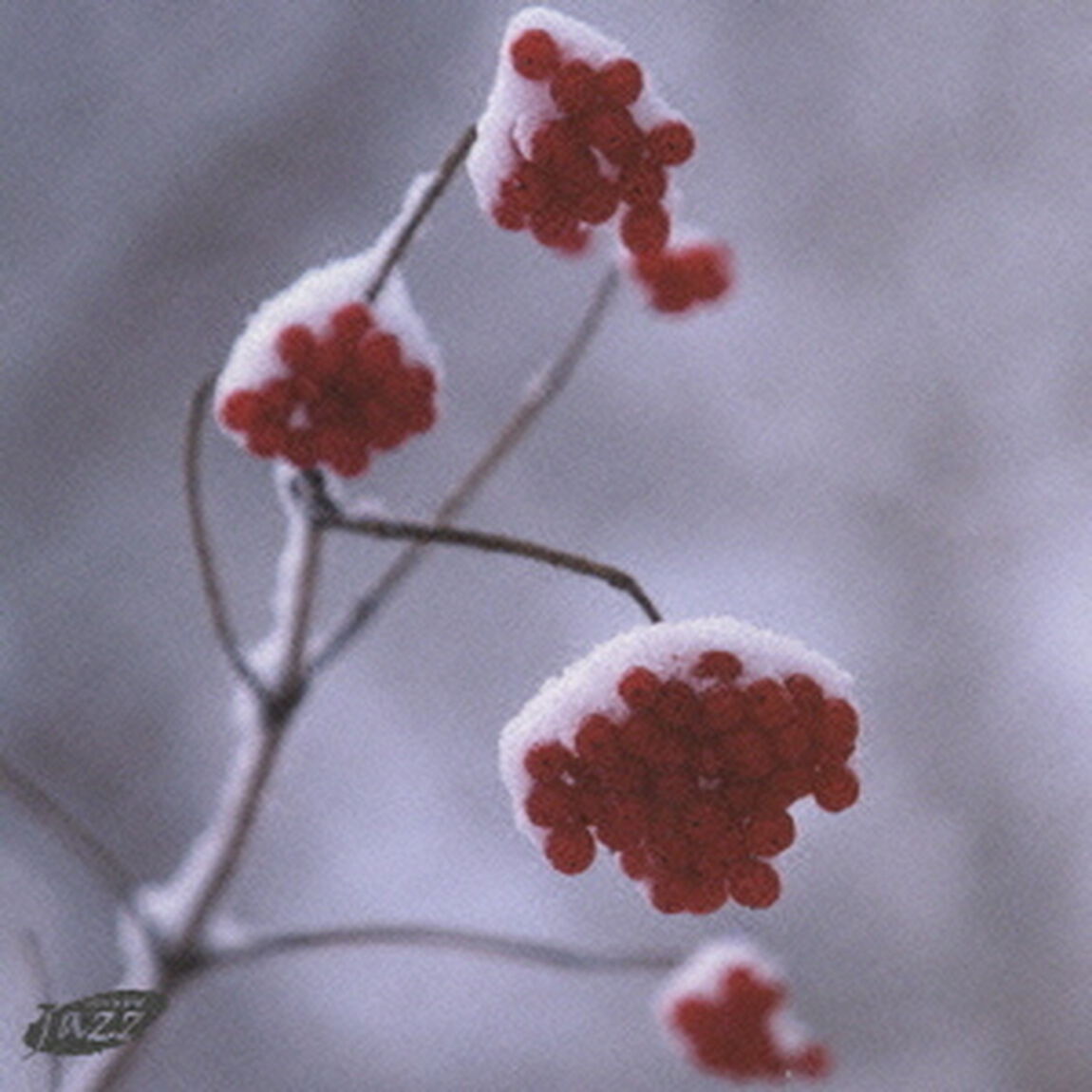 冬のまどろみ〜ウインター・ジャズ・コレクション（ＣＤ）