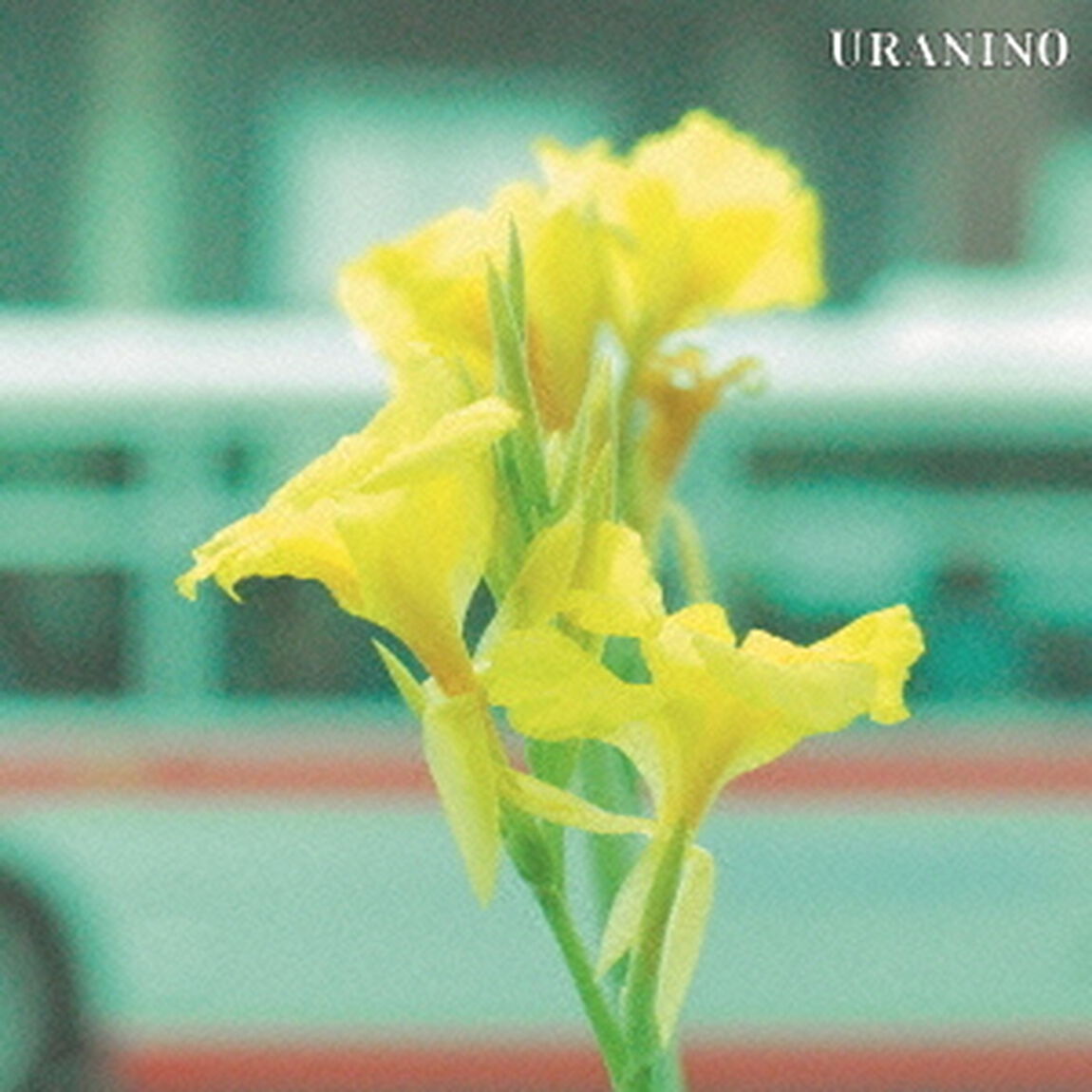 音楽はあるか（ＣＤ）