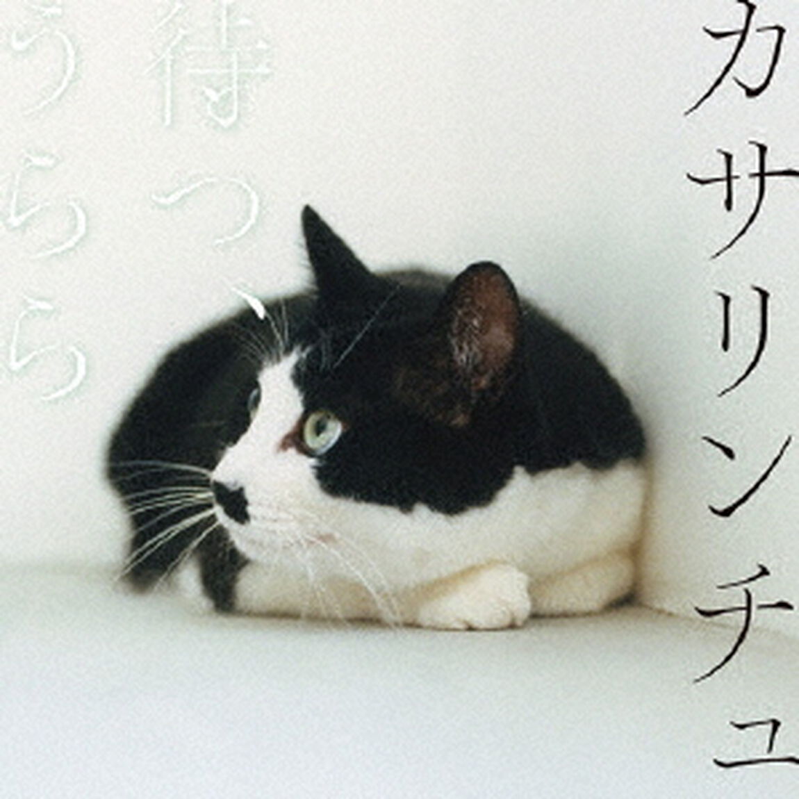 待つ、うらら（ＣＤ）