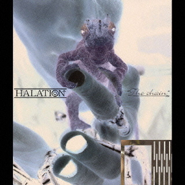 The　chain（ＣＤ）
