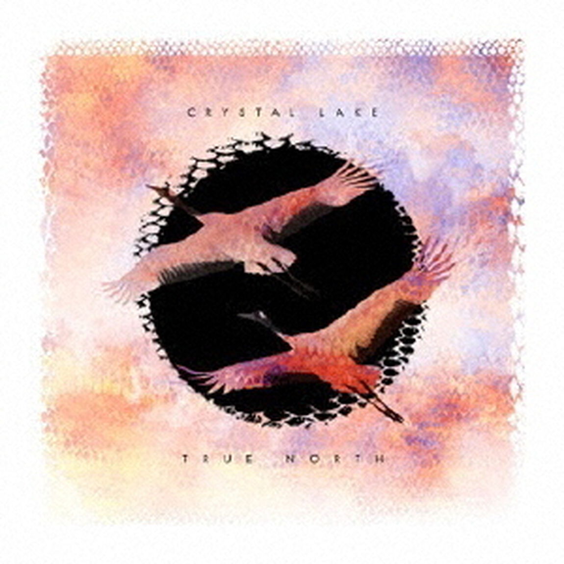 TRUE　NORTH（ＣＤ）