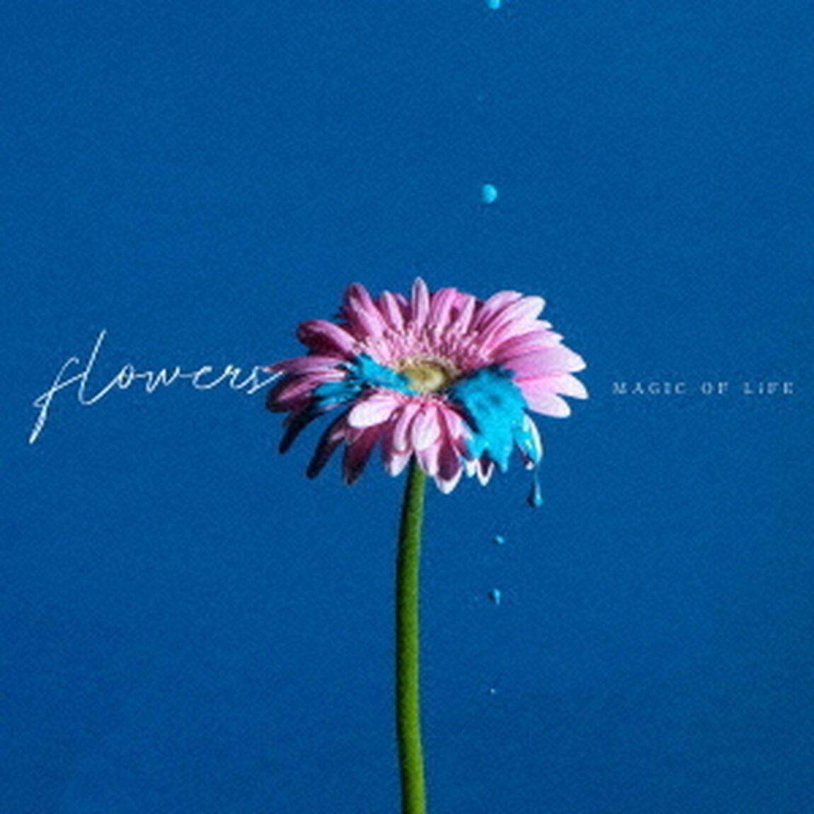 flowers（ＣＤ）