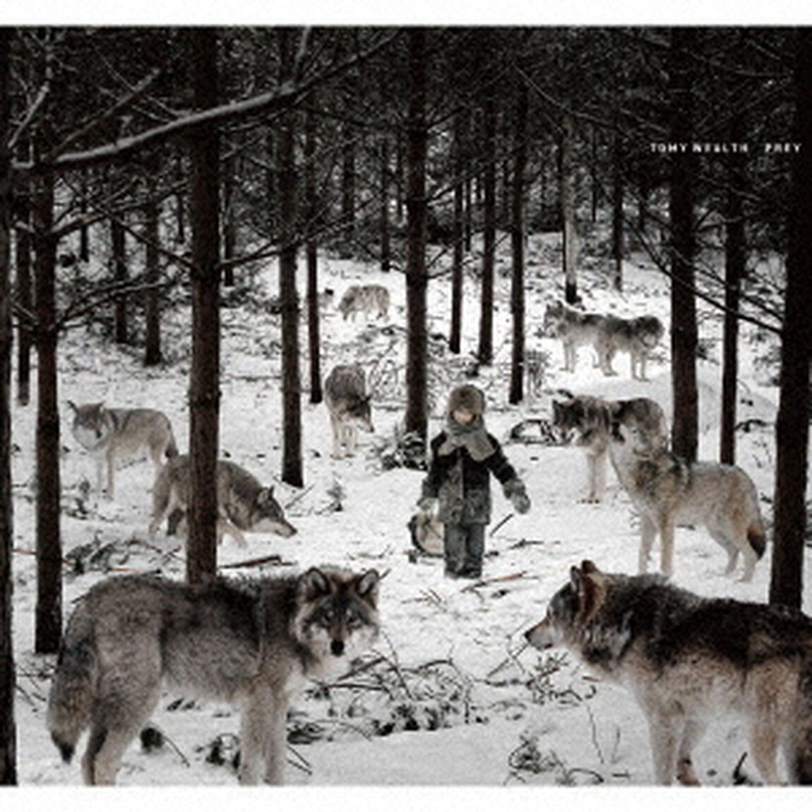PREY（ＣＤ）