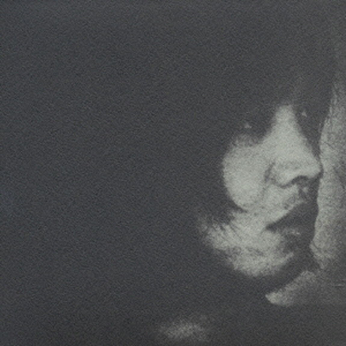 元気です。（ＣＤ）