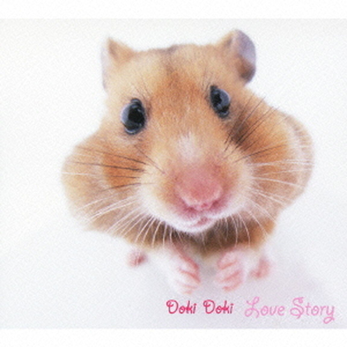 ゆるクラ　どきどき　ラヴストーリー（ＣＤ）