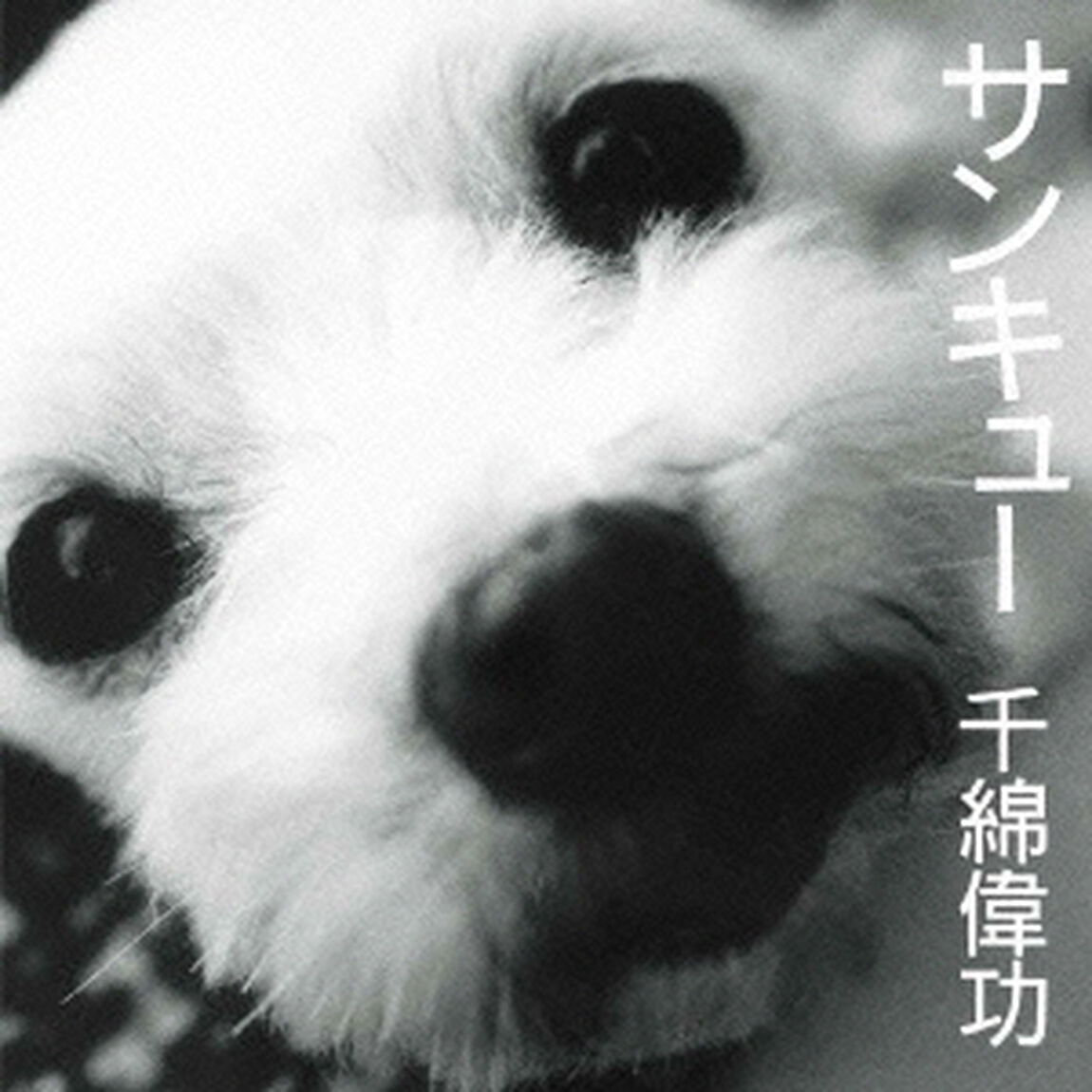 サンキュー（ＣＤ）