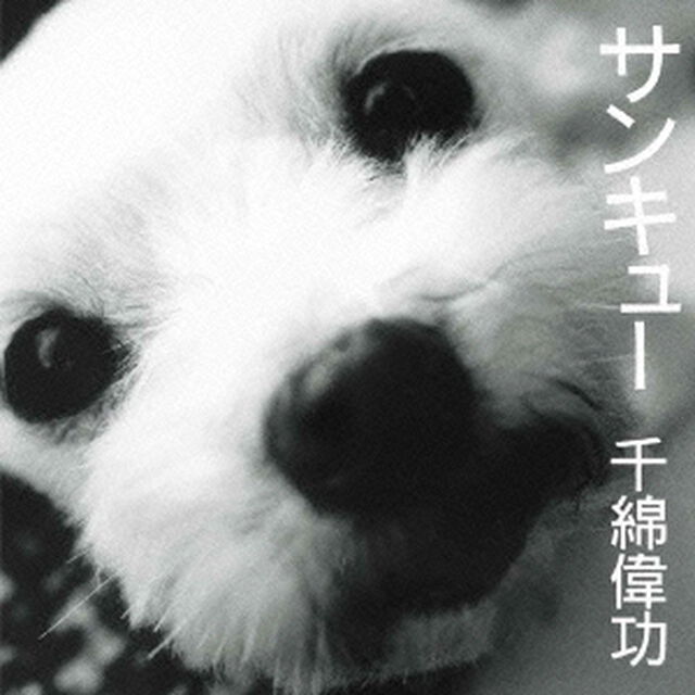 サンキュー（ＣＤ）