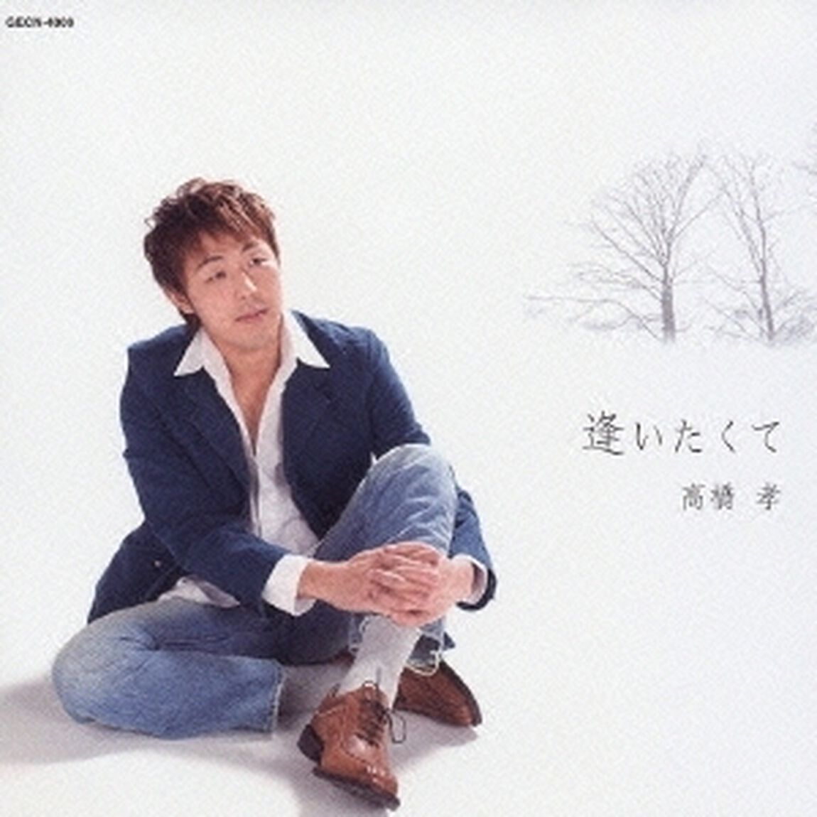 逢いたくて（ＣＤ）