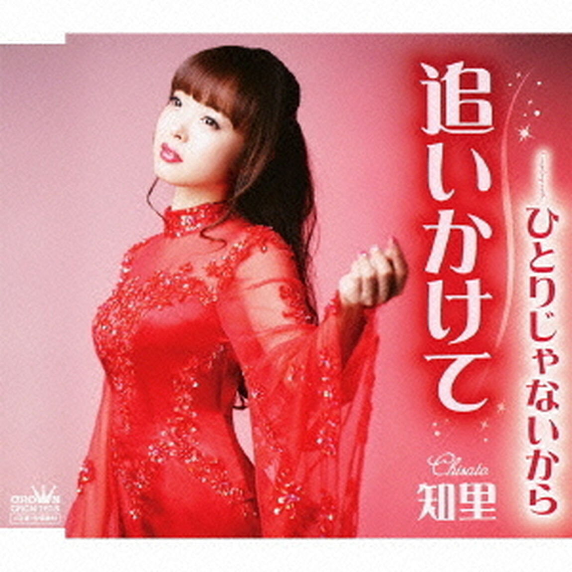 追いかけて（ＣＤ）
