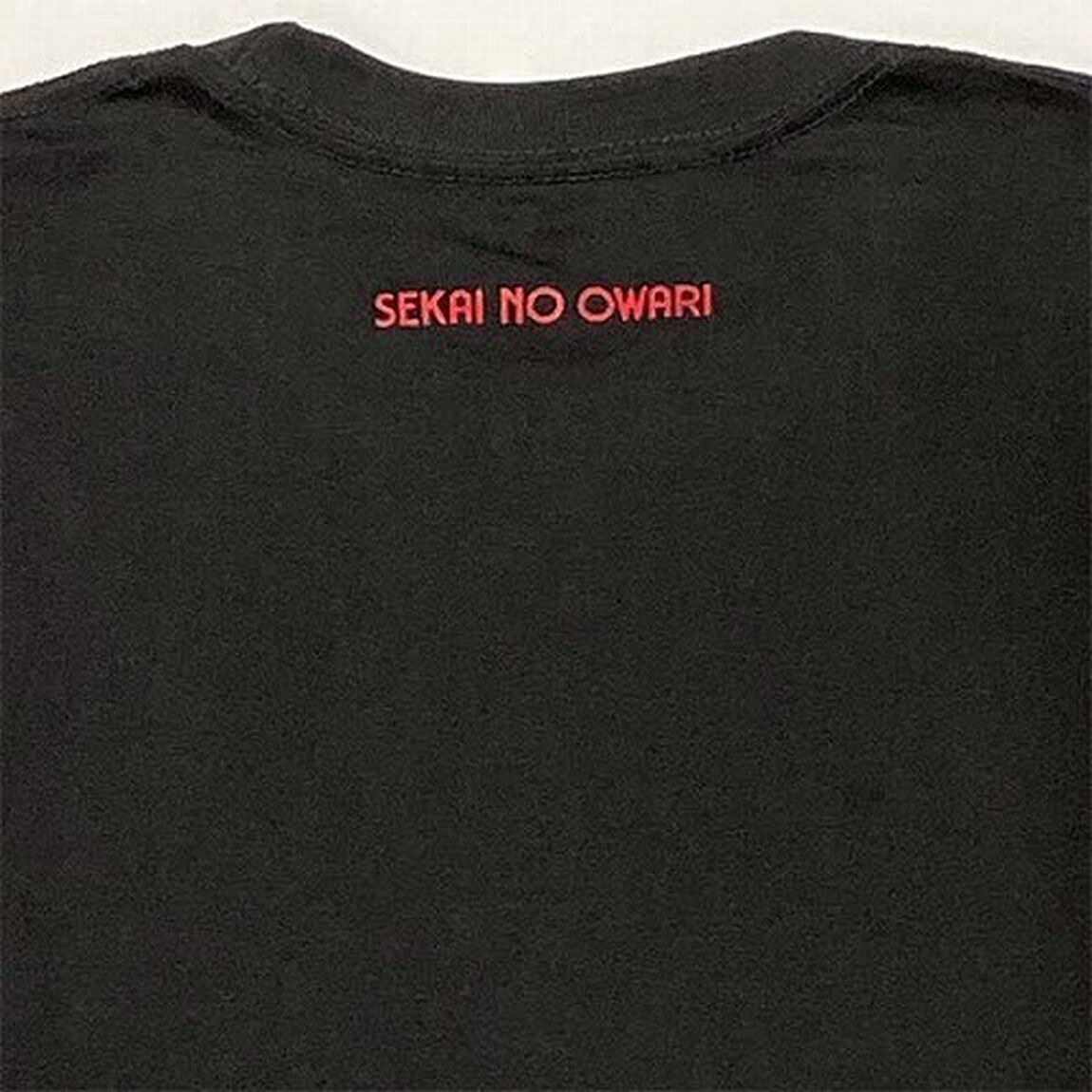 THE SECRET HOUSE Tシャツ ブラックL（その他）