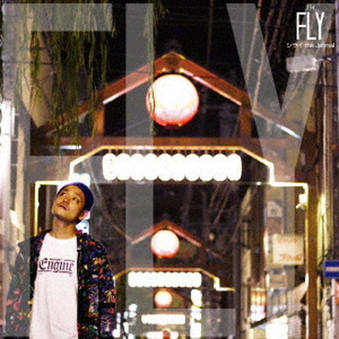 FLY（ＣＤ）