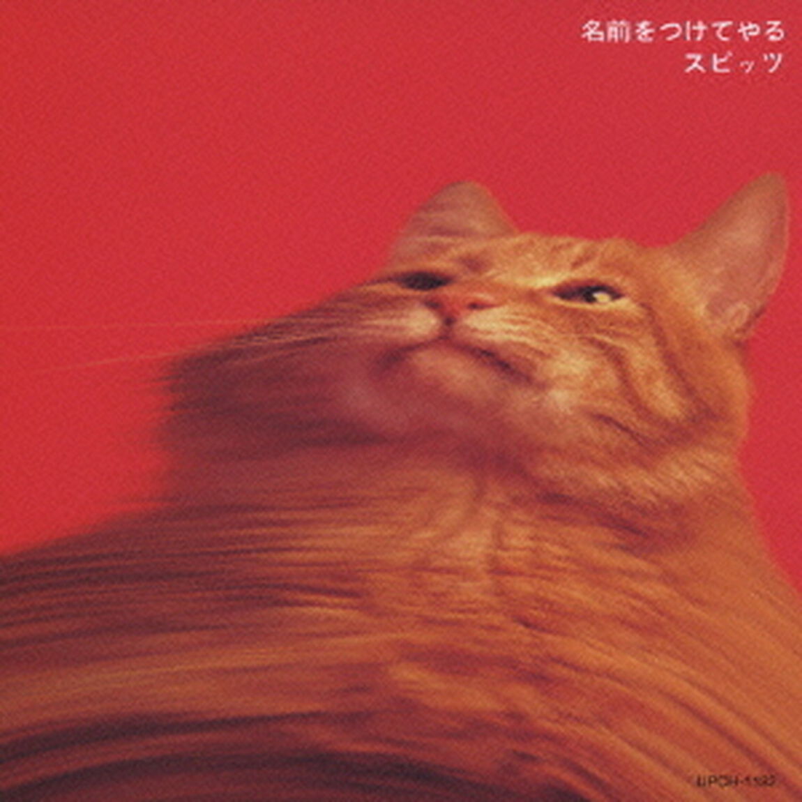 名前をつけてやる（ＣＤ）