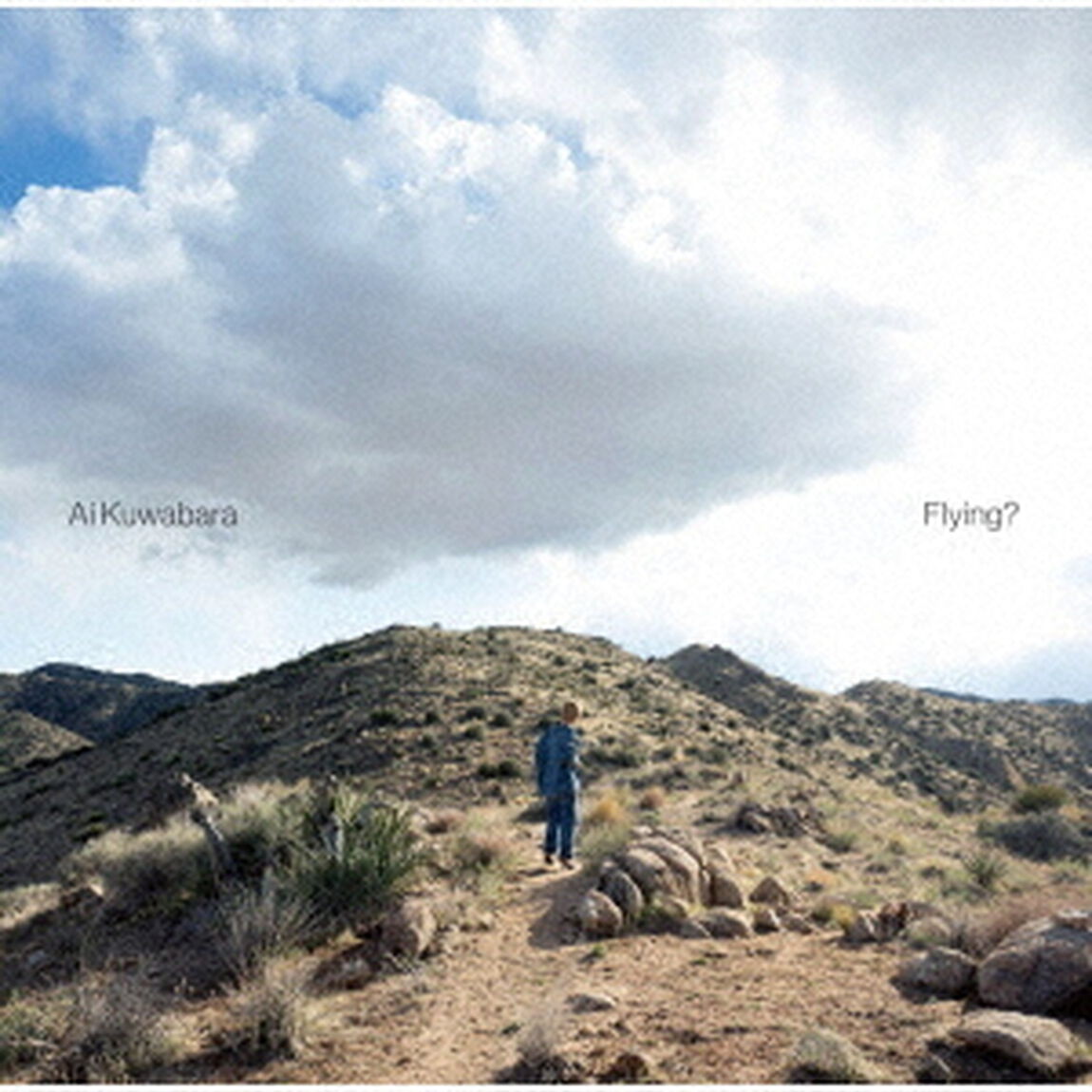 Flying？（ＣＤ）