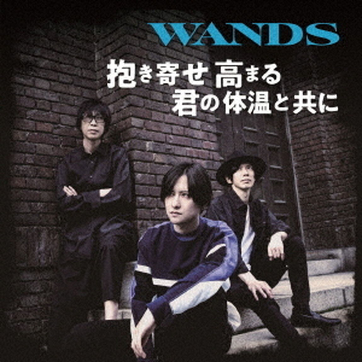 WANDS／抱き寄せ 高まる 君の体温と共に（初回限定盤 CD+DVD）（ＣＤ）