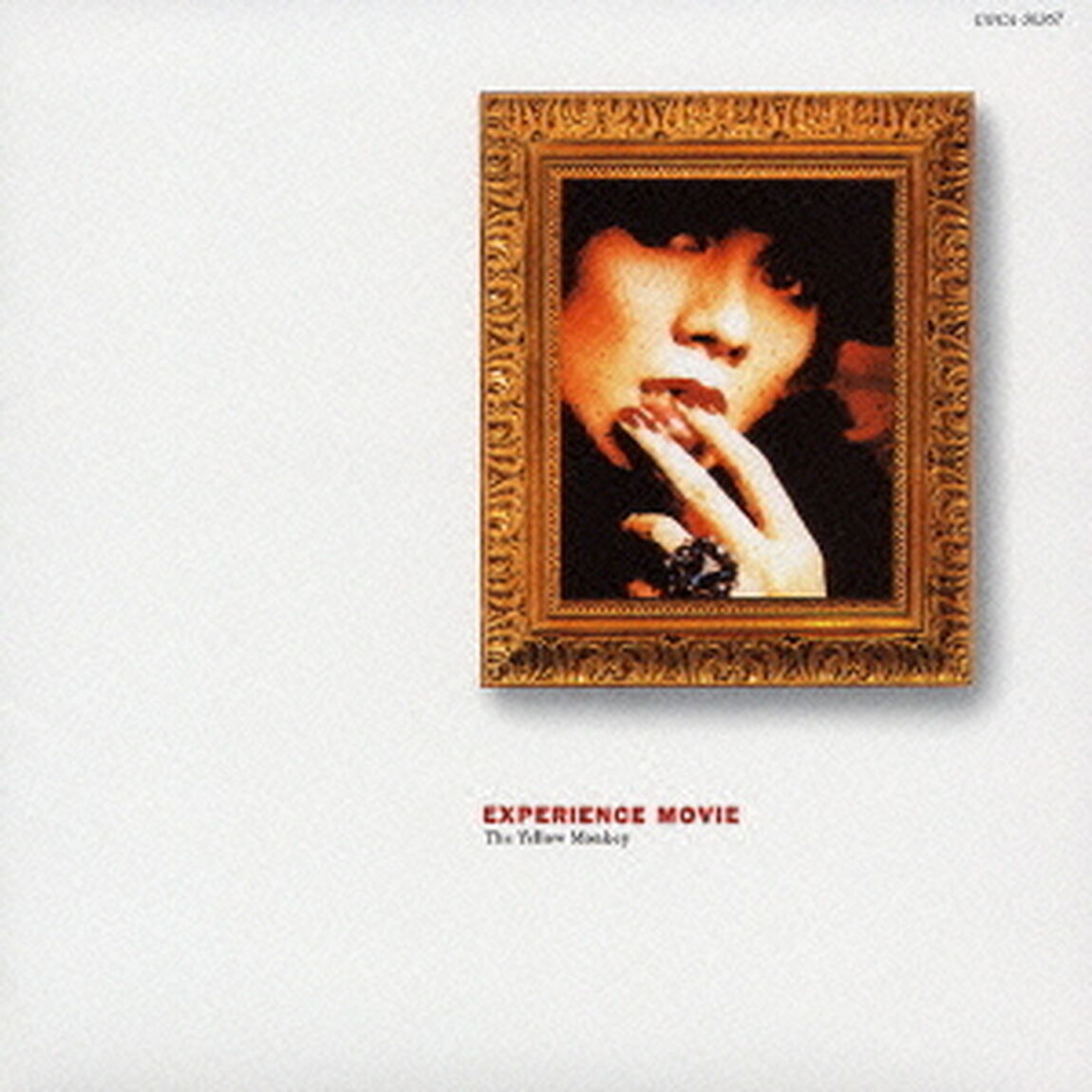 未公開のエクスペリエンス・ムービー（ＣＤ）