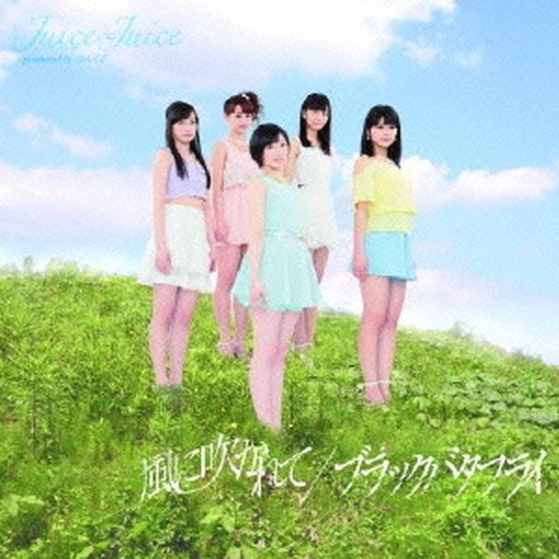 ブラックバタフライ／風に吹かれて（初回生産限定盤D）（CDシングル）