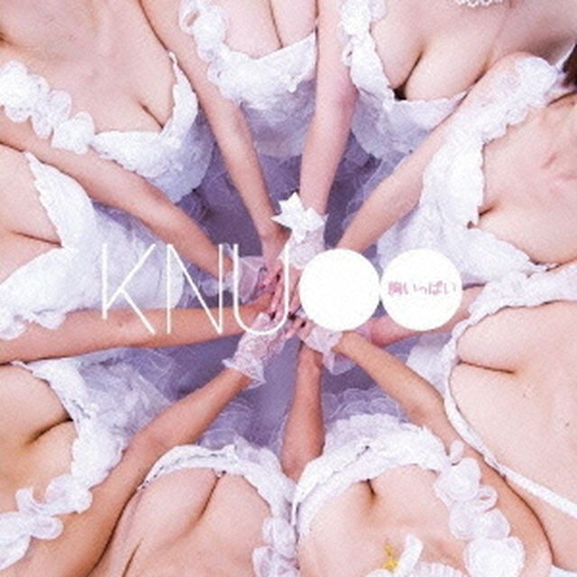 胸いっぱい（ＣＤ）