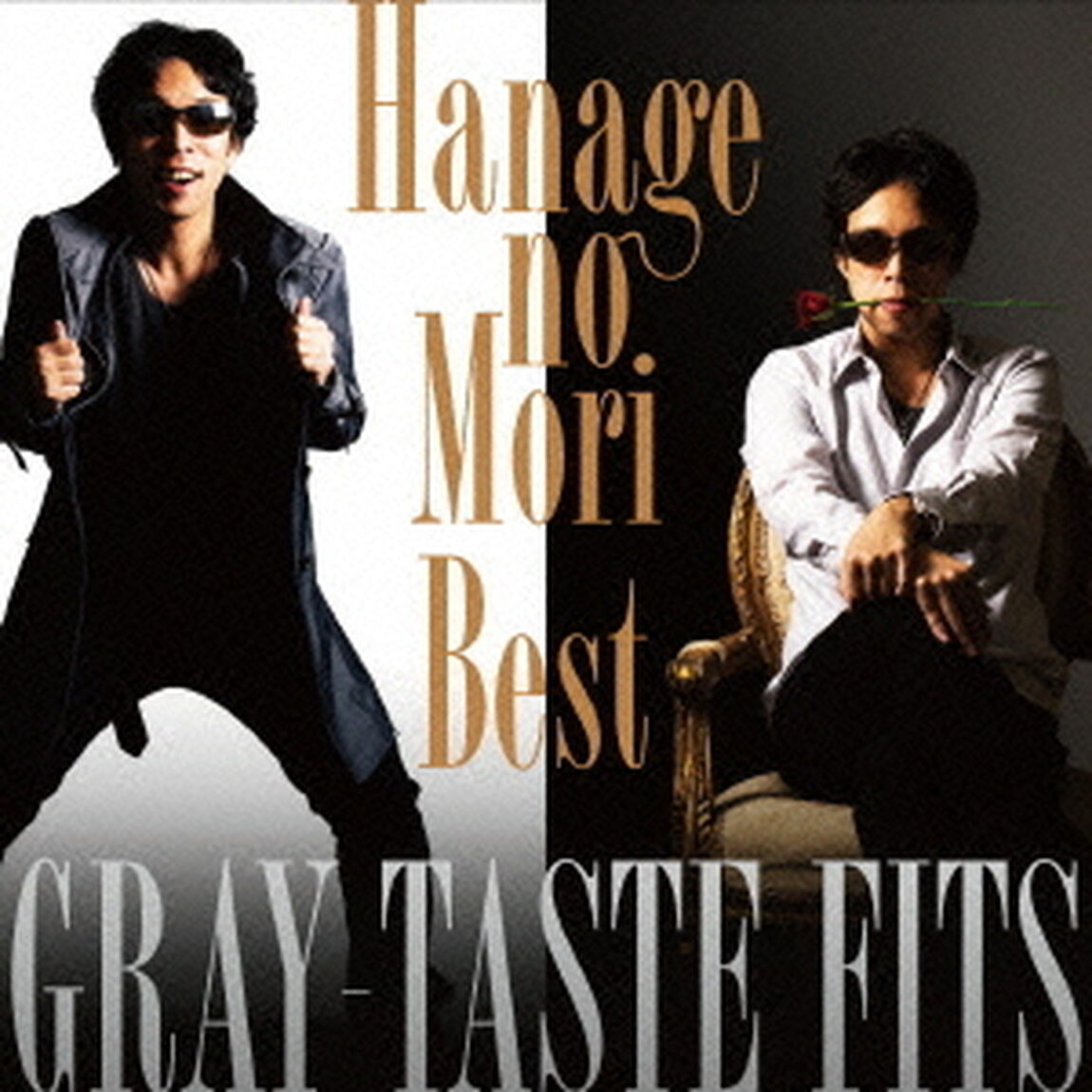 鼻毛の森ベスト　グレイテイスト・フィッツ（ＣＤ）