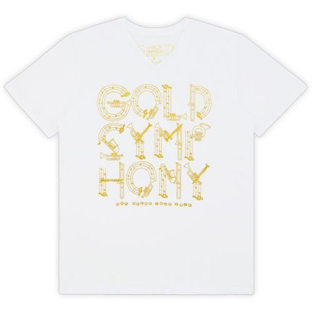 AAA／セブンネット限定 Tシャツ（L）（AAA ARENA TOUR 2014 -Gold Symphony- グッズ）（その他）