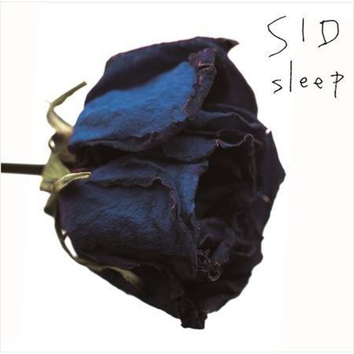 sleep（ＣＤ）