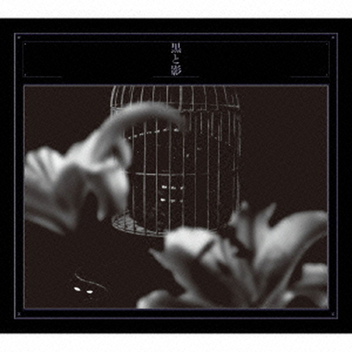 黒と影（ＣＤ）