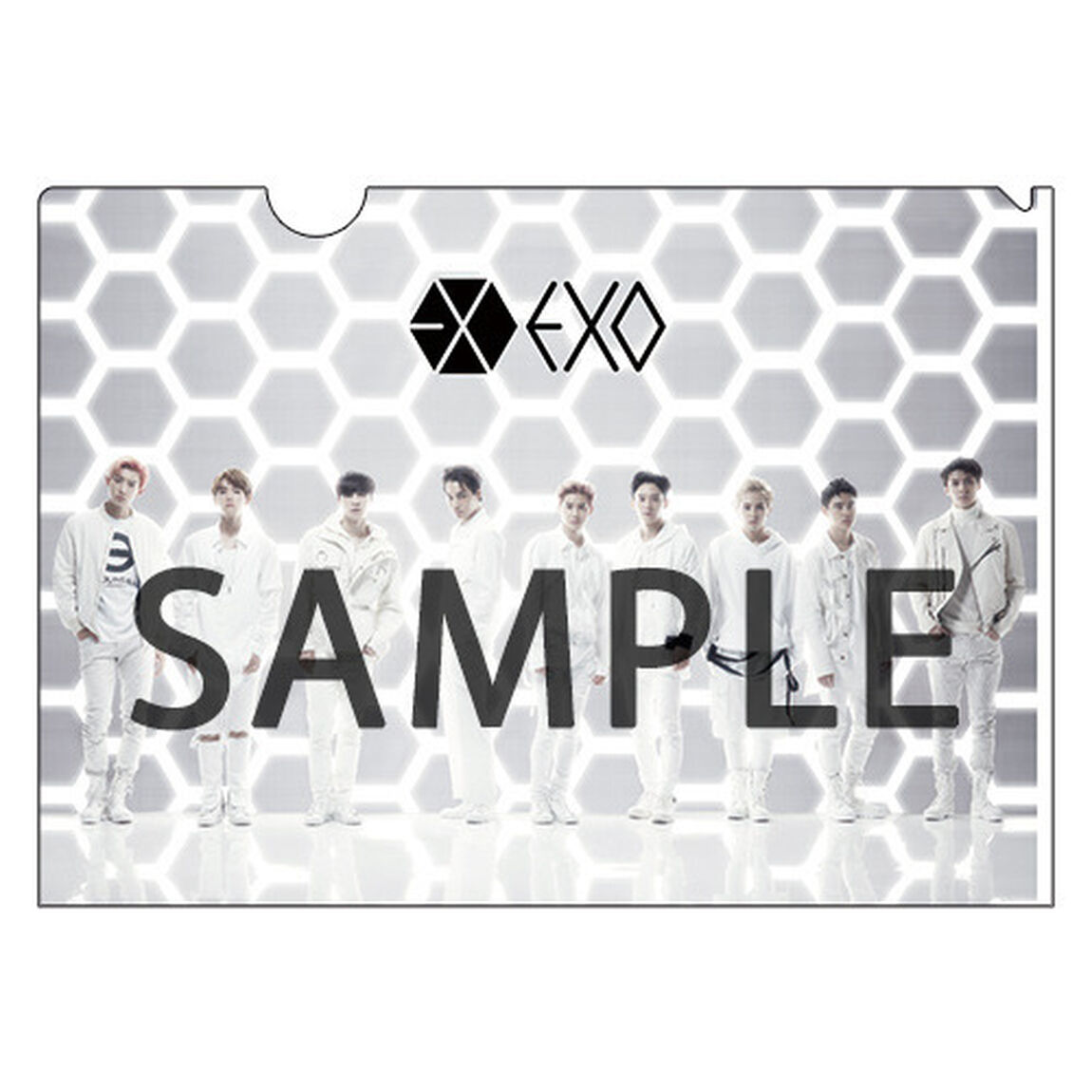 EXO／Coming Over（BAEKHYUN(ベクヒョン)Ver.）（初回盤／CD）（セブン-イレブン・セブンネット限定特典：クリアファイルB（A4サイズ））（CDシングル）