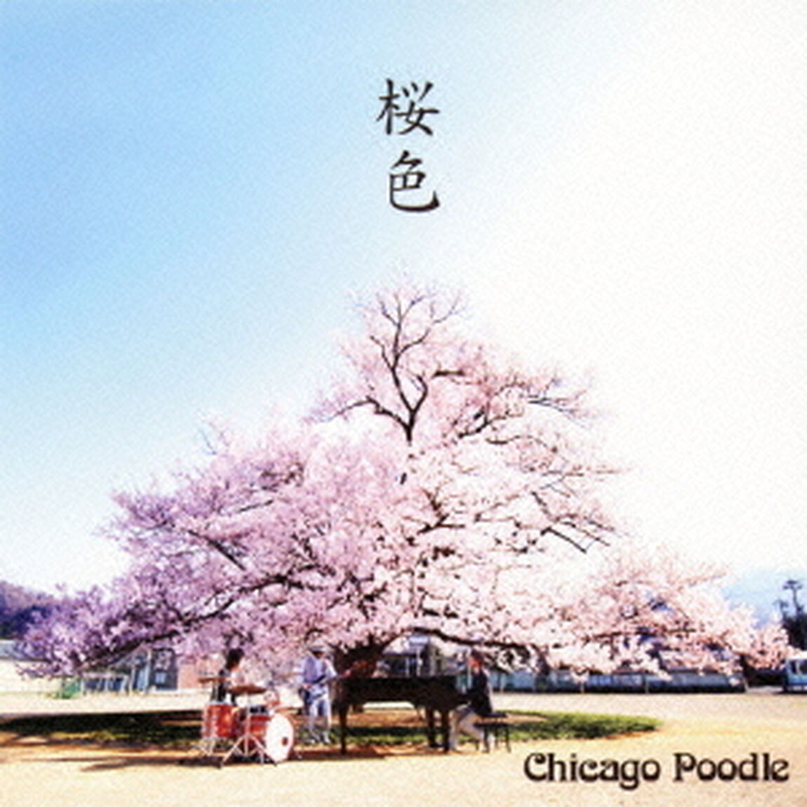 桜色（ＣＤ）