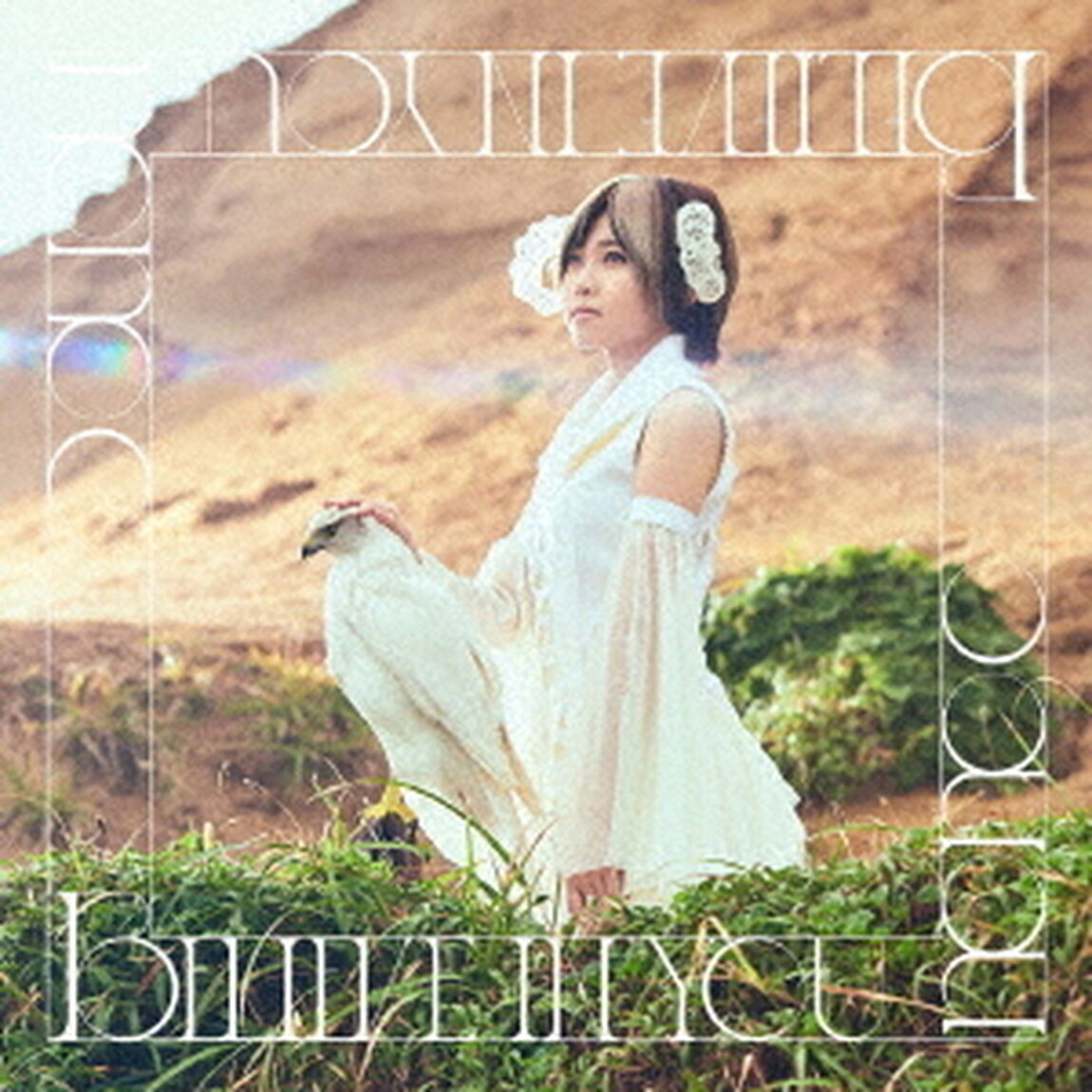 nonoc／Believe in you（ＣＤ）
