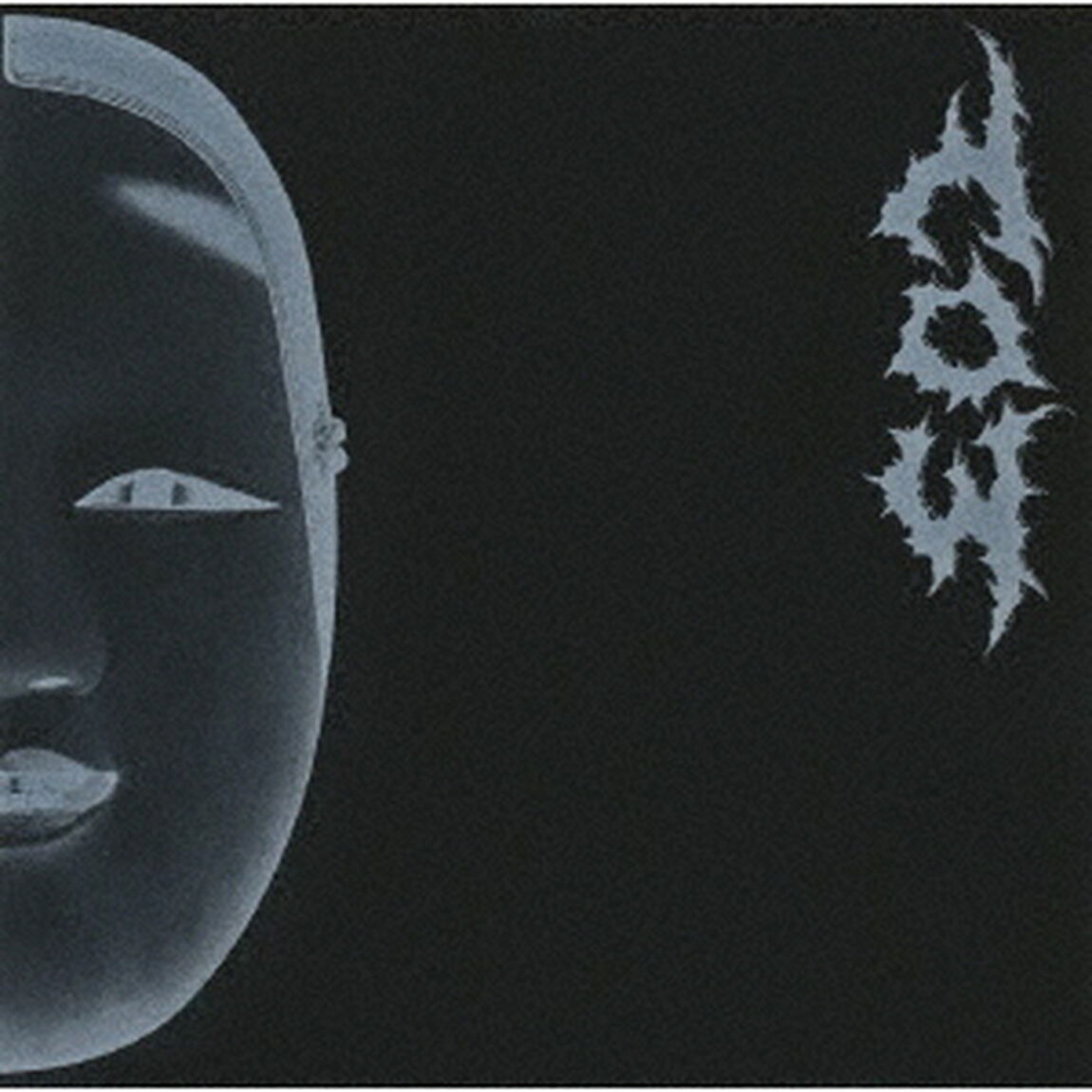 co3（ＣＤ）