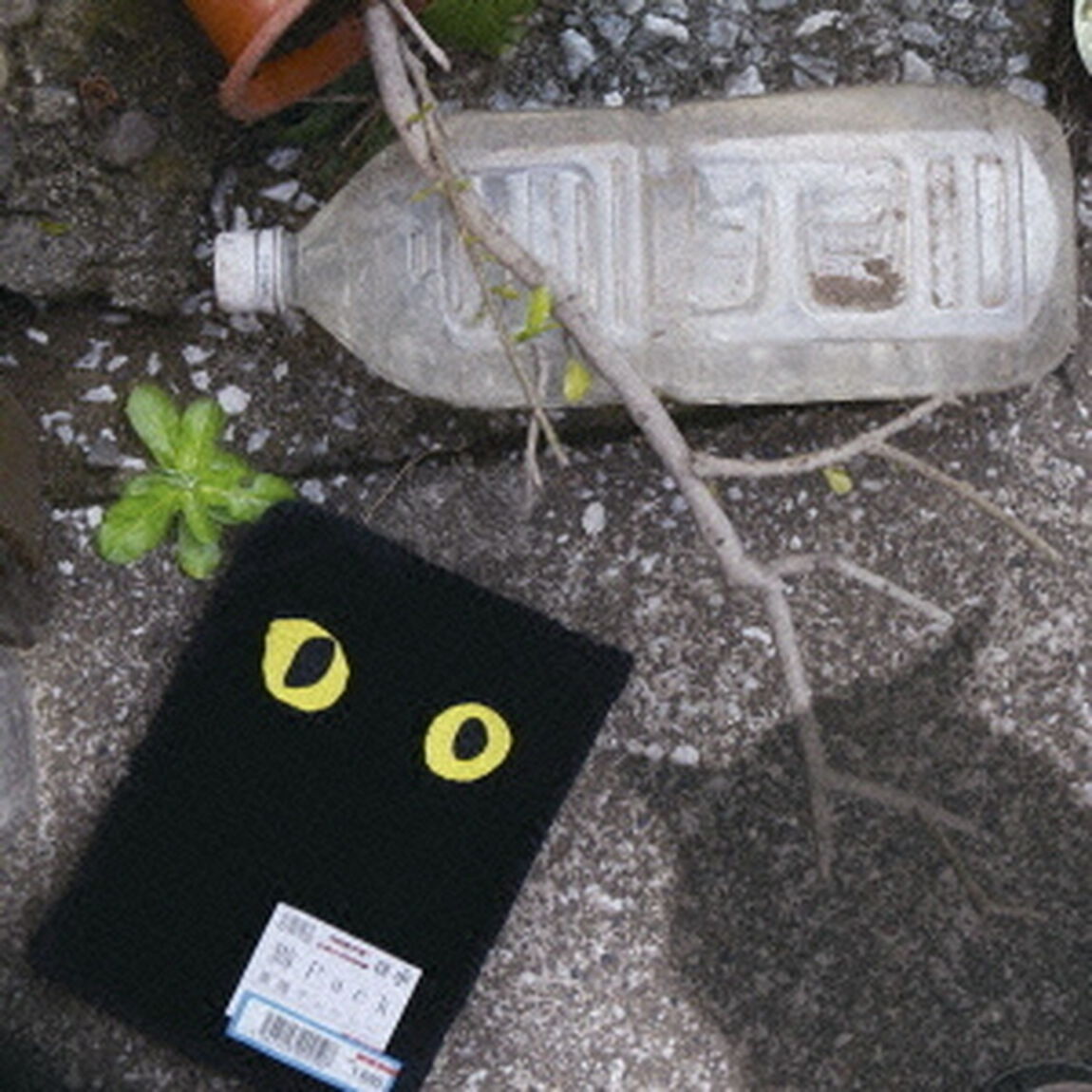 猫　Pack（ＣＤ）