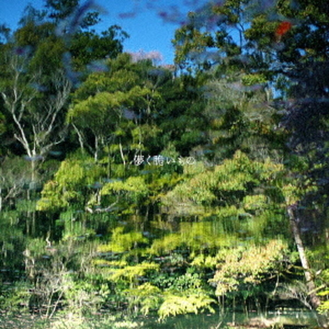 藤巻亮太／儚く脆いもの（通常盤／CD）（ＣＤ）