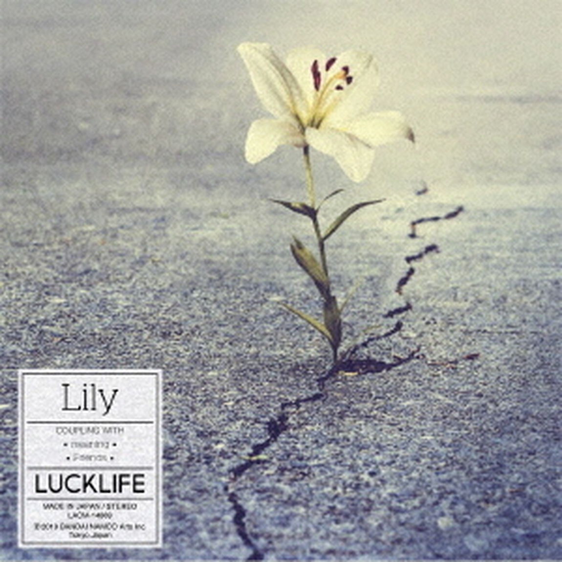 Lily（ＣＤ）