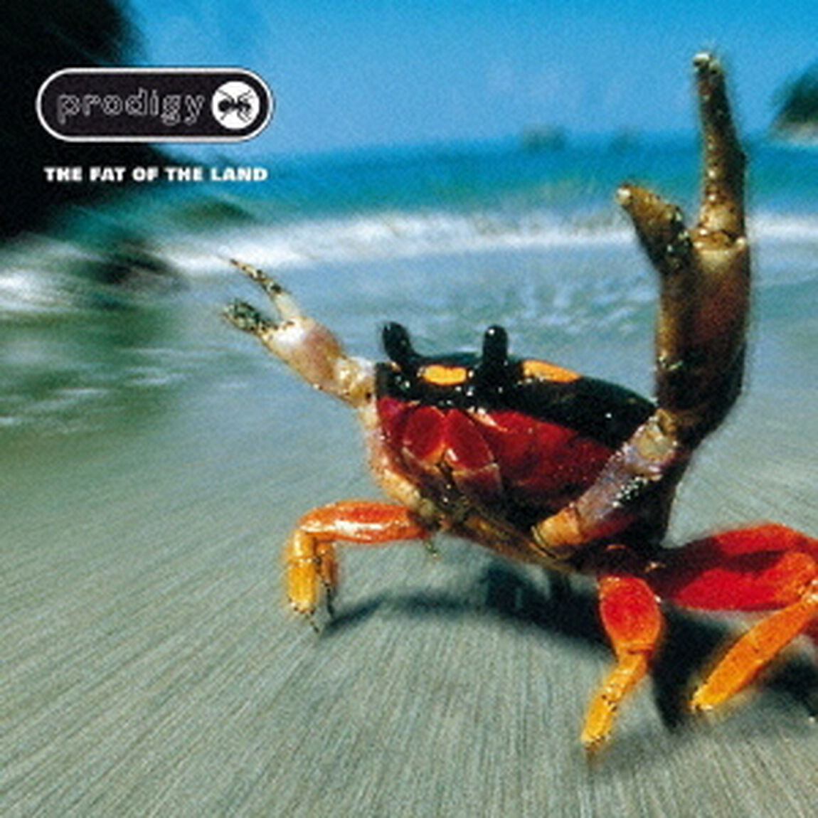ザ・ファット・オブ・ザ・ランド（ＣＤ）